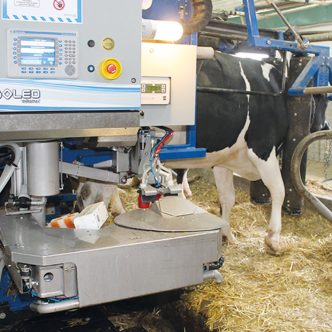 Aujourd’hui, environ une ferme laitière sur cinq est dotée d’au moins une trayeuse entièrement automatisée au Québec. Photo : Archives/TCN