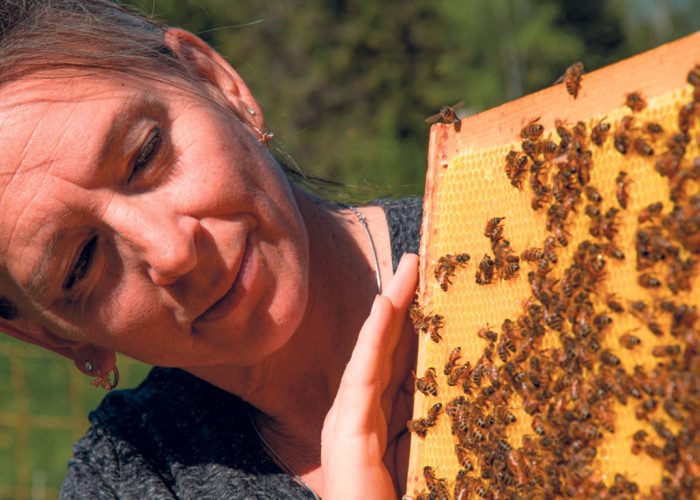 L’apicultrice Claude Dupuis, propriétaire du rucher Douceurs des Appalaches, craint un taux de mortalité exceptionnel dans ses ruches si elle doit substituer le sirop de sucre au miel pour nourrir ses abeilles pendant l’hiver. Photo : Gracieuseté de Claude Dupuis