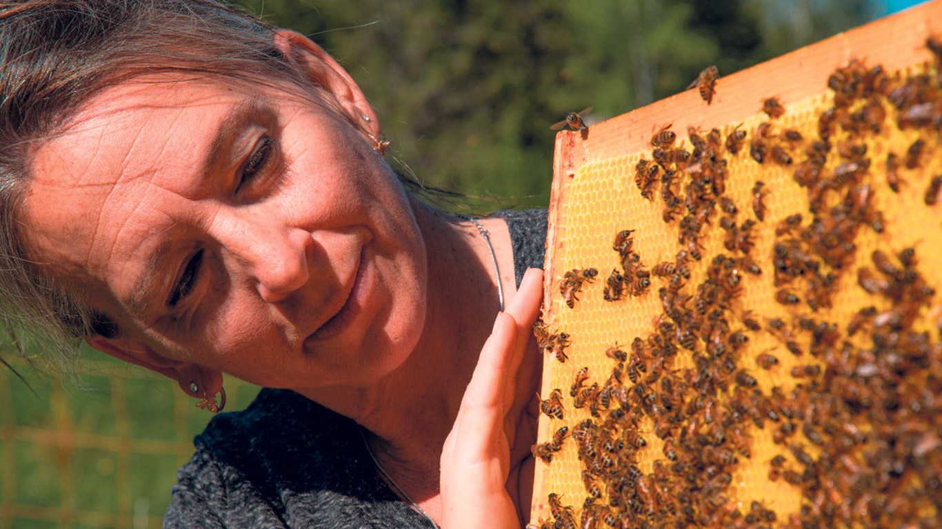 L’apicultrice Claude Dupuis, propriétaire du rucher Douceurs des Appalaches, craint un taux de mortalité exceptionnel dans ses ruches si elle doit substituer le sirop de sucre au miel pour nourrir ses abeilles pendant l’hiver. Photo : Gracieuseté de Claude Dupuis