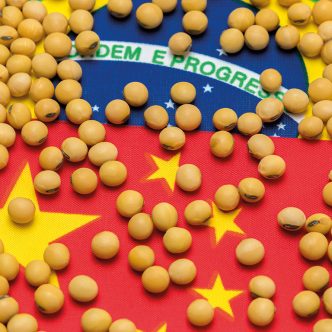 Le Québec a besoin des marchés d’exportation pour une grande partie de son soya, et pour une partie significative de son maïs. Or, le marché mondial des grains est en train de passer sous le contrôle du tandem Chine-Brésil.