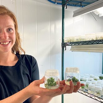 Alyssa St-Gelais et les petits plants d’orpin rose développés in vitro dans le laboratoire du CEDFOB afin d’être implantés chez des fermes partenaires. Photos : Geneviève Quessy
