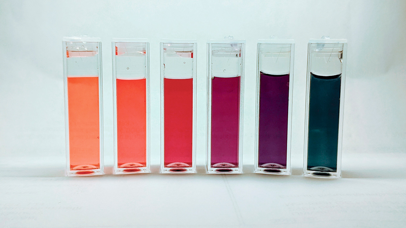 Le test COLORI offre un éventail de couleurs. Photo : PPAQ