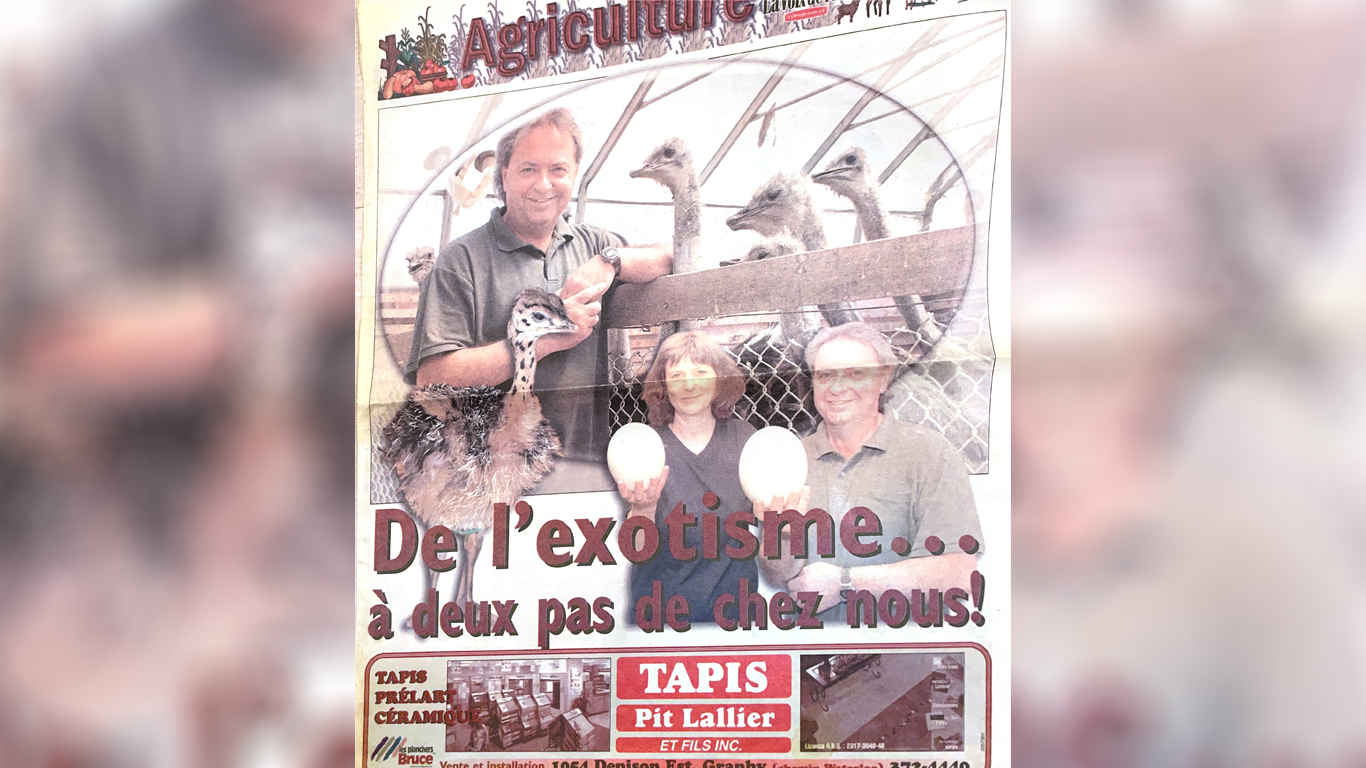 L’ancien producteur laitier Michel Noiseux, qui a été l’un des premiers éleveurs d’autruches au Québec, se remémore avec nostalgie ses 14  années passées dans cette production hors du commun, comme en témoigne une coupure de journal qu’il garde précieusement. Photo : Gracieuseté de Michel Noiseux