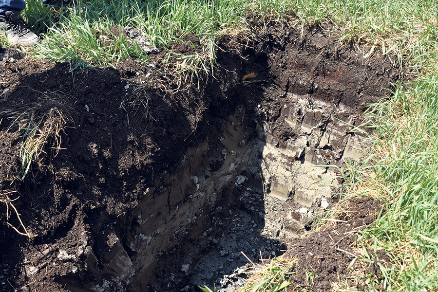Profils de sol captés lors d’une journée thématique sur le drainage et la compaction des sols organisée par le MAPAQ. On peut voir différentes profondeurs de compaction.