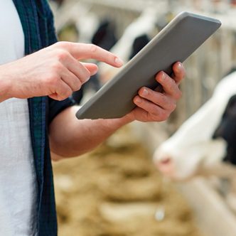 L’un des objectifs est de faciliter la tâche des producteurs lorsqu’ils partagent leurs données avec leur contrôleur laitier pour l’analyse du lait et pour l’aide à la gestion de troupeau. Photo : Shutterstock.com