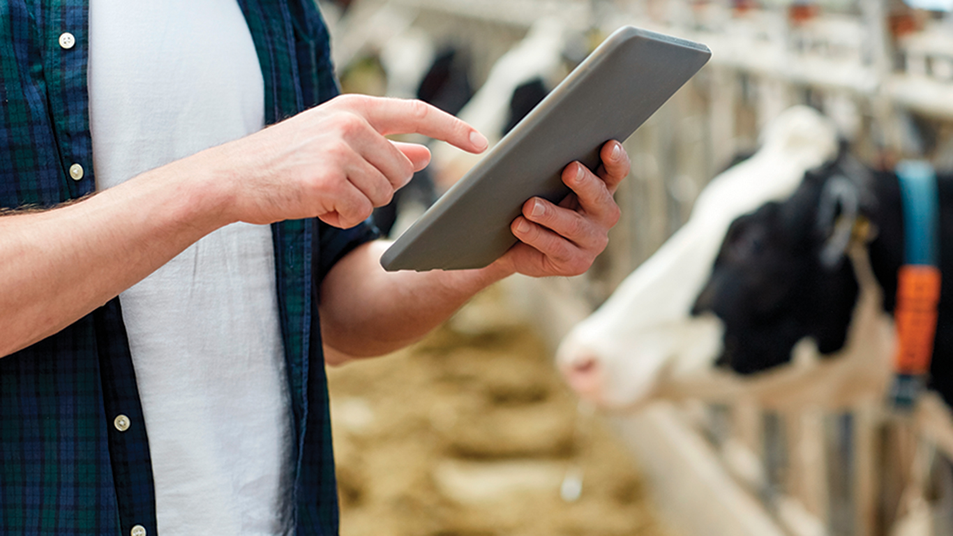 L’un des objectifs est de faciliter la tâche des producteurs lorsqu’ils partagent leurs données avec leur contrôleur laitier pour l’analyse du lait et pour l’aide à la gestion de troupeau. Photo : Shutterstock.com