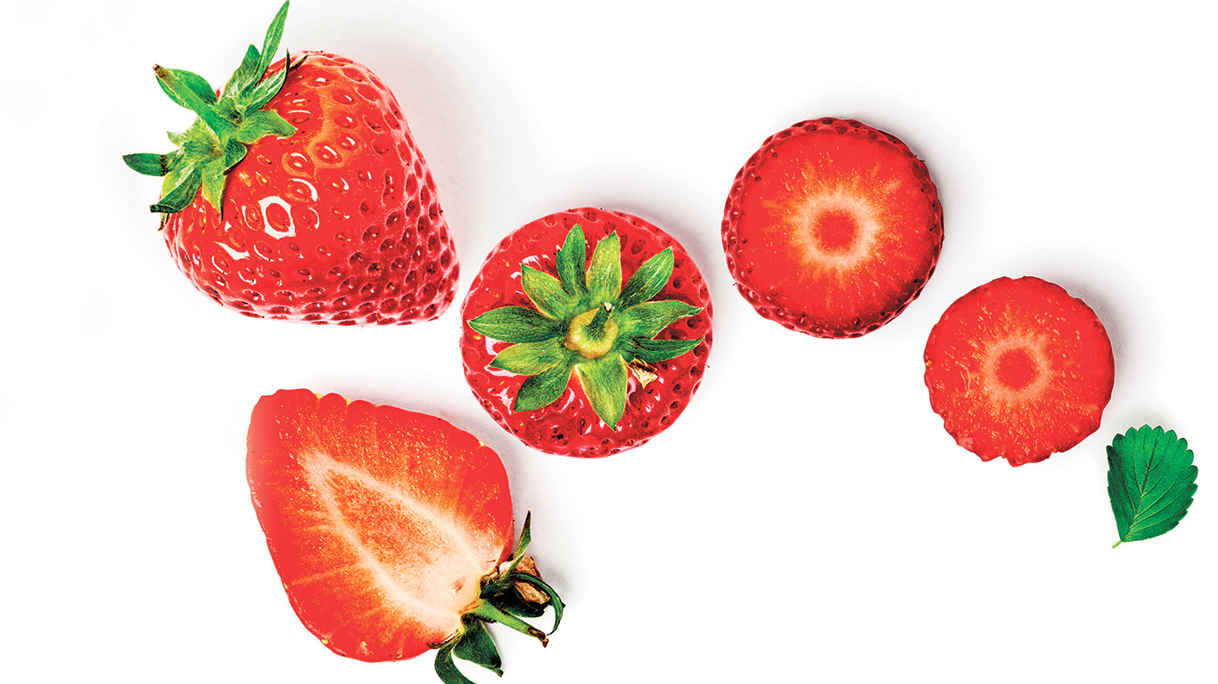 En inoculant les fraisiers avec l’agent responsable de la tache commune, on a découvert que les plants traités aux UV avaient beaucoup moins de symptômes. Photo : Shutterstock
