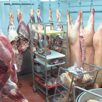 Des facteurs comme la propreté et la densité de l’élevage, ainsi que la manipulation adéquate des animaux peuvent avoir des effets positifs et significatifs sur les principaux attributs de la qualité de la viande, ont démontré des études menées au Centre de développement du porc du Québec. Photo : Archives/TCN