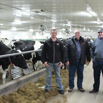 David, Yvan et Jérôme Michon ont visité quelque 80 entreprises agricoles avant de mettre sur pied leur propre ferme. Photo : Charles Prémont