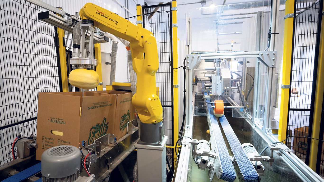 En alliant l’imagerie 3D à l’intelligence artificielle, Génik a robotisé un centre d’emballage pour produits maraîchers. Photo : Gracieuseté de Génik inc.