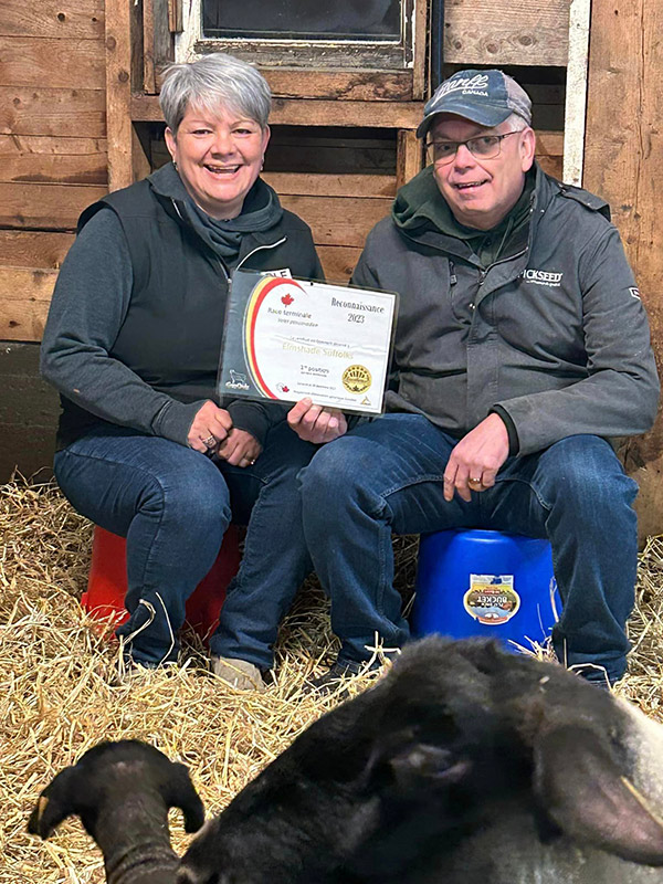 Larry Mastine et sa conjointe ont été récompensés en décembre pour la qualité génétique exceptionnelle de leur troupeau de Soffolk. Photo : Ferme Ovimax
