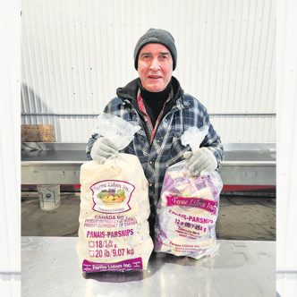 Dominique Duval, propriétaire de la Ferme Lidom, produit du panais dans ses champs de Saint-Lin, dans Lanaudière. Photo : Gracieuseté de la Ferme Lidom