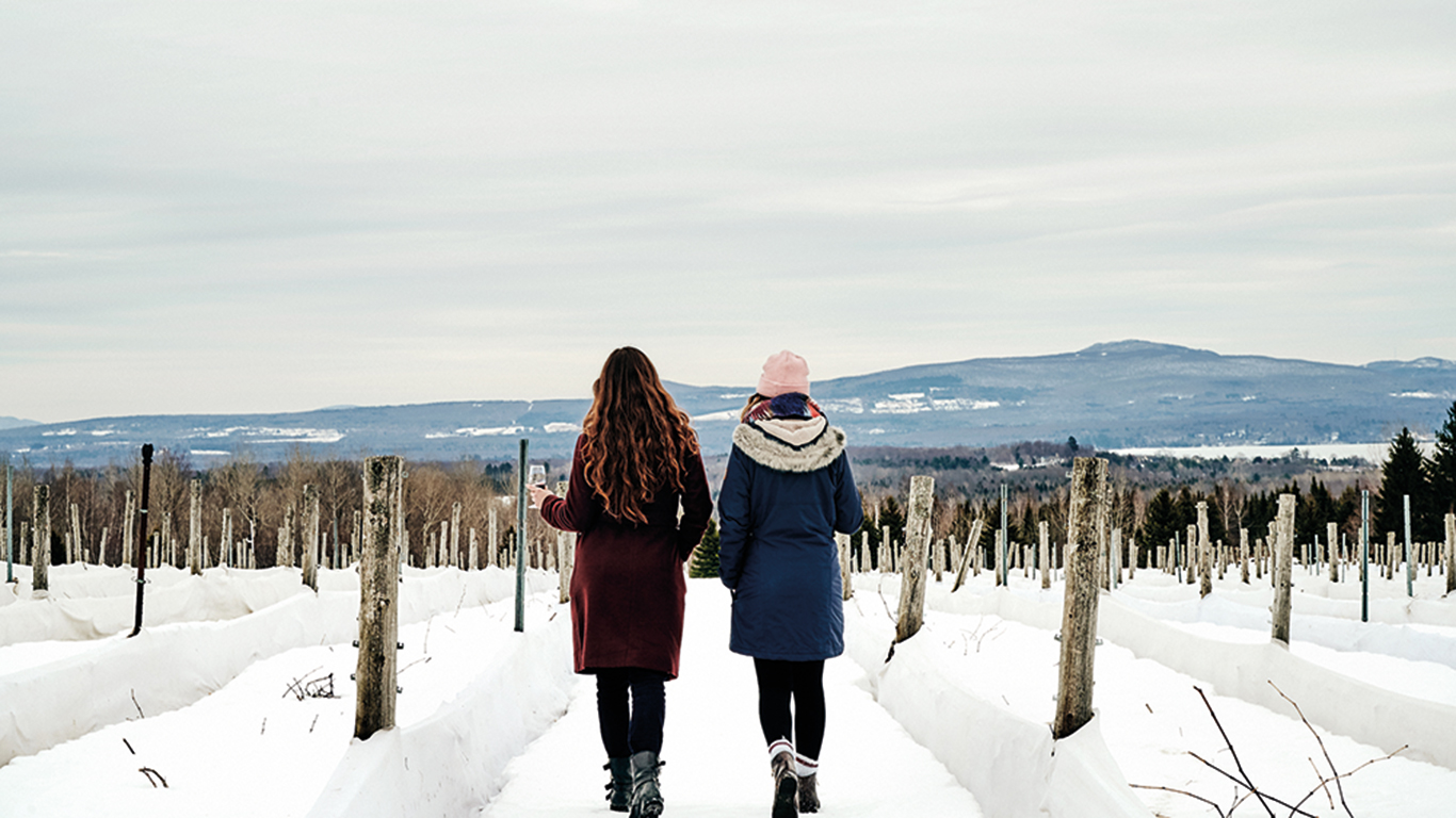 Découvrir les vignobles en hiver permet de prendre conscience d’une spécificité qui les rend uniques. Photo : Daphné Caron/CLD Brome-Missisquoi