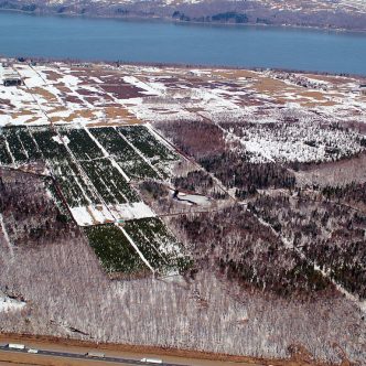 Les terres de Rabaska, qui longent le fleuve Saint-Laurent, seront en partie utilisées à des fins industrielles (167 hectares) et en partie réintégrées à la zone verte (109 hectares). Photo : Gracieuseté du GIRAM