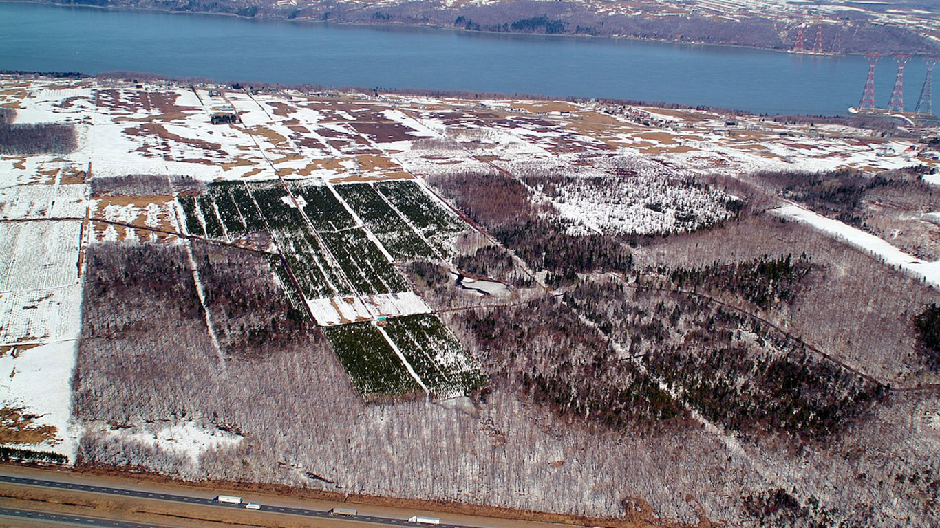 Les terres de Rabaska, qui longent le fleuve Saint-Laurent, seront en partie utilisées à des fins industrielles (167 hectares) et en partie réintégrées à la zone verte (109 hectares). Photo : Gracieuseté du GIRAM