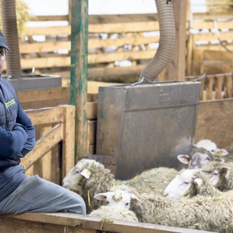 Alexandre Anctil et son groupe ont lancé la Reconquête ovine de l’Est-du-Québec. Ce mouvement, qui prendre la forme d’une table de concertation, a pour objectif d’augmenter la production ovine et le nombre de fermes dans leur région. Photo : Sarah Danielle Lévesque