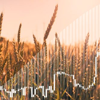 L’important pour le producteur est de bien comprendre les mécanismes de la Bourse afin de pouvoir vendre son grain au prix le plus adéquat et de protéger son coût de production, explique l’agroéconomiste Kévin Richard. Photo : Shutterstock