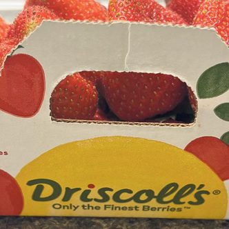 De petites quantités de fraises et de framboises Driscoll’s produites au Québec ont été commercialisées à l’été 2023 dans quelques magasins IGA. Photo : Gracieuseté