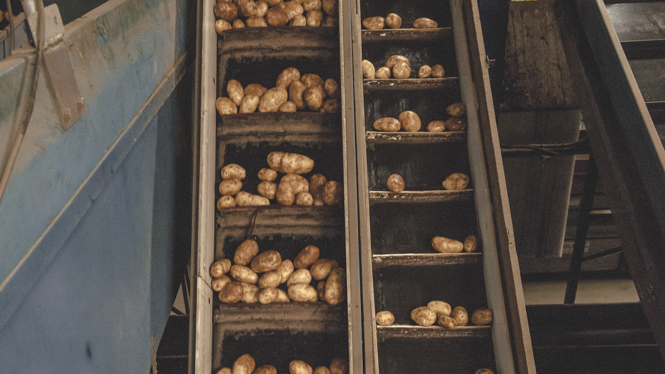 Enlever un maximum de résidus solides, de terre ou de feuilles en amont, avant le lavage, va simplifier l’étape du traitement et réduire le volume d’eau à entreposer et à traiter. Photo : Gracieuseté des Producteurs de pommes de terre du Québec