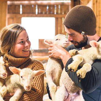 Stéphanie Beaulieu et Pierre-Alexandre Dessureault partagent une passion pour l’élevage ovin. Photo : JHA Lamontagne