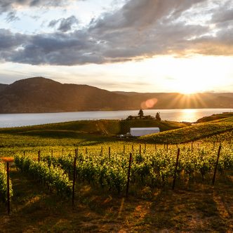 Seule une sélection limitée de vins de Colombie-Britannique pourrait être disponible sur les tablettes des détaillants dans les années à venir. Photo : Shutterstock