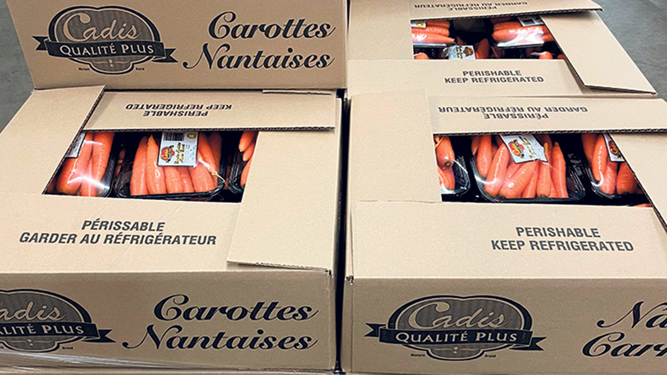 Normalement, Carolyne Daigneault entrepose 2 000 boîtes de carottes nantaises, qu’elle écoule jusqu’en février, avant d’avoir recours aux importations. Cette année, elle en a stocké la moitié moins. Photo : Gracieuseté de Carolyne Daingeault