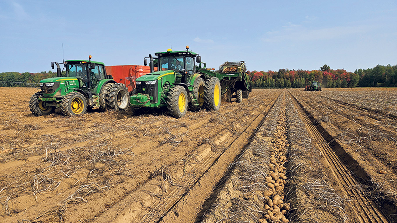 Les volumes de pommes de terre de table récoltées au Québec ont été de 20 % plus élevés que la normale en 2023. En contrepartie, 30 % ont été déclassées. Normalement, la proportion de déclassement se situe plutôt entre 5 et 10 %. Photo : Producteurs de pommes de terre du Québec