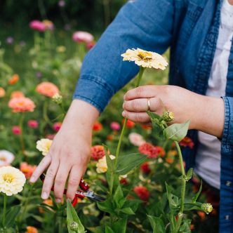 La nouvelle association de fermières-fleuristes souhaite faire la promotion des fleurs coupées, cultivées localement, auprès des consommateurs et des fleuristes. Photo : Gracieuseté de l’APFCQ