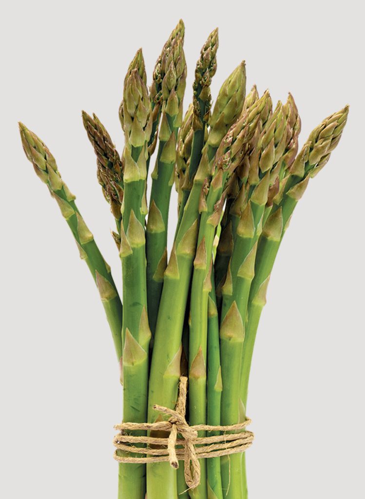 La continuité des essais de cultivars d’asperges est prête à être mise en œuvre.